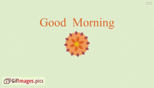 Good Morning Greetings GIF - Good Morning Greetings Flowers GIFs