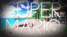 Erb Mario GIF - Erb Mario Super Mario GIFs