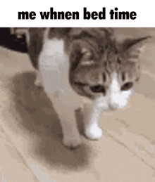 Me When Bed Time Sleep GIF - Me When Bed Time Bed Time Sleep GIFs