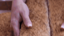 Giant Breadstick Separating GIF