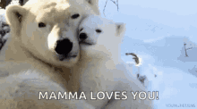 Mamma Loves You Bear GIF