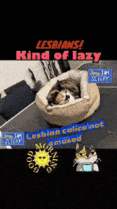 a cat laying in a dog bed with the words " lesbians kind of lazy " above it