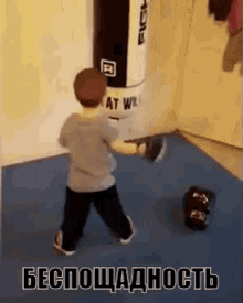 груша беспощадный малыш мальчик боксёр GIF - Punching Bag Boxing GIFs