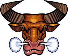bull ox