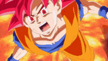 Goku Beerus GIF - Goku Beerus Dragon Ball Super GIFs