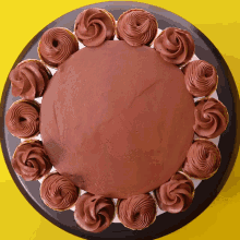 a chocolate cake with chocolate frosting on it