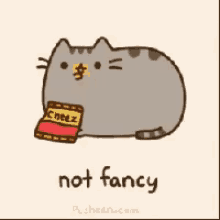 not fancy cat cutie plushie