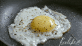 Kixlike Breakfast GIF - Kixlike Breakfast Fried Egg GIFs