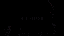 Shedor Text GIF - Shedor Text Wall GIFs