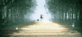 a person is walking down a wooden path in the woods .