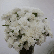 White Carnations GIF - White Carnations GIFs