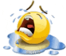a crying smiley face is sitting on a puddle of water .