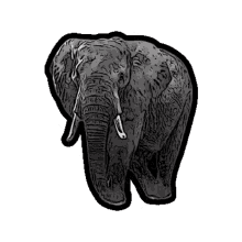 elephant tdl