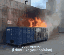 Your Opinion I Dont Like Your Opinion Epic Own GIF
