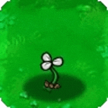 Sprout Pvz GIF