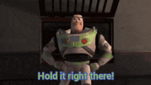 buzz lightyear from toy story is holding his hands on his hips and says hold it right there