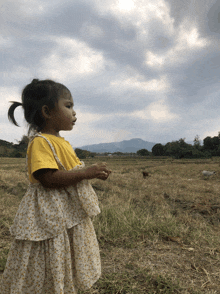 a little girl wearing a yellow shirt and a white dress stands in a field