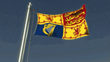 a blue and yellow flag with a harp and a lion on it