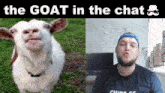 a picture of a goat next to a picture of a man with a mustache and the caption " the goat in the chat "