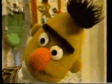 a close up of bert from sesame street on tv