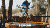 Sonic Sonic Wif Hat GIF - Sonic Sonic Wif Hat Sonicwifhat GIFs