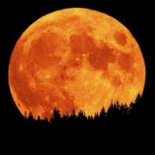 Full Moon Mooning GIF - Full Moon Moon Mooning GIFs