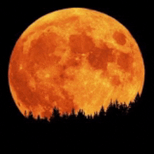 Transparent moon GIF - Find on GIFER