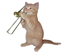 a cat playing a trombone on its hind legs against a white background