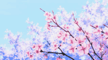 Sakura Sayang GIF - Sakura Sayang GIFs