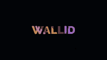 Wallid Intro Wallid GIF - Wallid Intro Wallid Stum GIFs