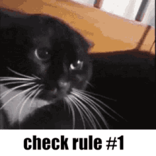 Rule1 Dont Disagree GIF