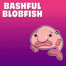 a picture of a fish with the words bashful blobfish below it