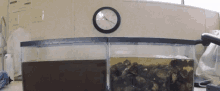 Dirty Water Filtration GIF - Dirty Water Brown Water Clean Water GIFs