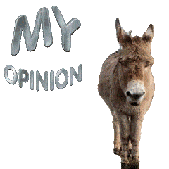 Donkey Gif My Expert Opinion Gif Sticker - Donkey Gif My Expert Opinion Gif My Opinion Gif Stickers