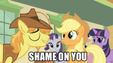 my little pony shame insult argue judging you