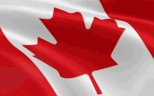 Canadian Flag Canada GIF
