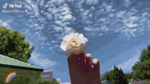 Nature Vacation GIF - Nature Vacation Flower GIFs