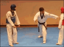 Taekwondo GIF - Taekwondo GIFs