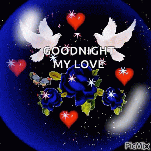 Goodnight Flowers GIF - Goodnight Flowers Sparkles - Discover & Share GIFs