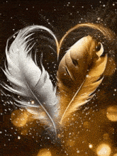 two feathers in the shape of a heart are floating in the air