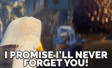 I Promise I'Ll Never Forget You! GIF - Ill Never Forget You Forget Lego Ninjago GIFs