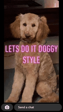 Doggy Style GIF - Doggy Style GIFs