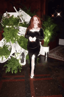 Lillee Jean Event GIF - Lillee Jean Event Green GIFs