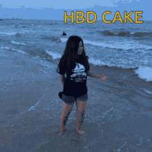 Hbd Cake Beach GIF - Hbd Cake Beach Waves GIFs