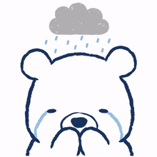 white shy bear sad rain