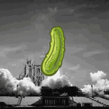 Pickle Rocket GIF