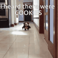 Bear Cookies GIF - Bear Cookies Costume GIFs