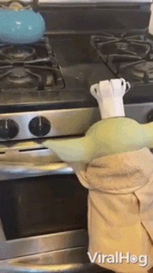 GIF