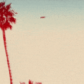 a logo for the los angeles angels is shown with a palm tree in the background