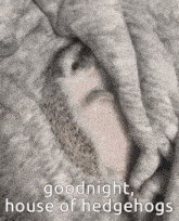 a hedgehog is laying under a blanket with the words `` goodnight , house of hedgehogs '' above it .